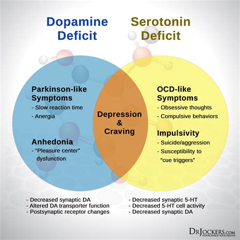 How is the relationship between stress and serotonin deficiency?